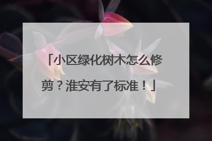 小区绿化树木怎么修剪？淮安有了标准！
