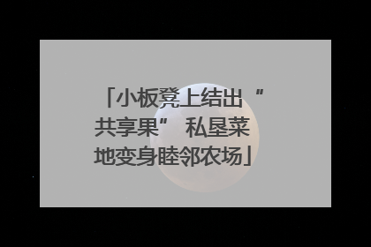 小板凳上结出“共享果” 私垦菜地变身睦邻农场