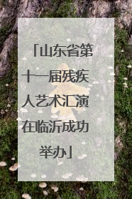 山东省第十一届残疾人艺术汇演在临沂成功举办