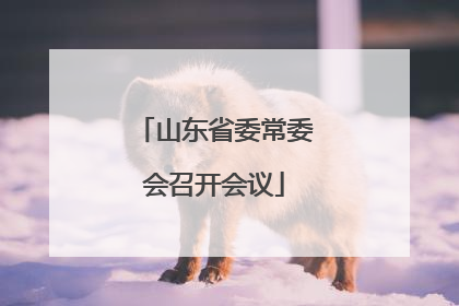 山东省委常委会召开会议