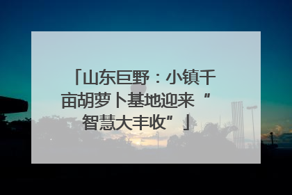 山东巨野：小镇千亩胡萝卜基地迎来“智慧大丰收”