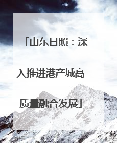 山东日照：深入推进港产城高质量融合发展