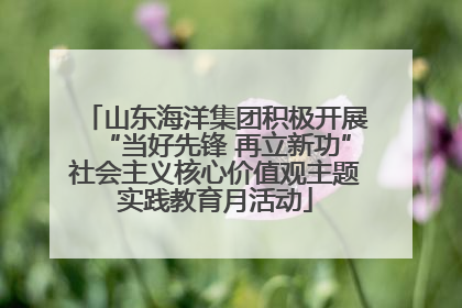 山东海洋集团积极开展“当好先锋 再立新功”社会主义核心价值观主题实践教育月活动
