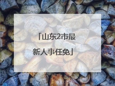 山东2市最新人事任免