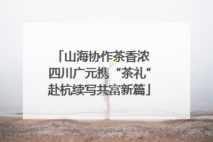山海协作茶香浓 四川广元携“茶礼”赴杭续写共富新篇