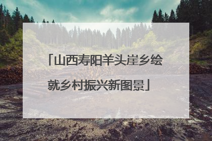 山西寿阳羊头崖乡绘就乡村振兴新图景