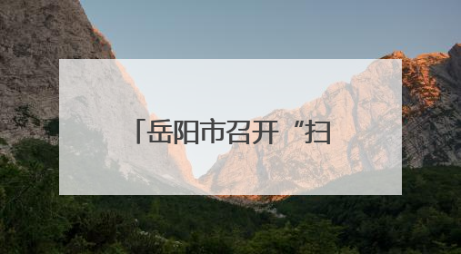 岳阳市召开“扫黄打非”工作推进会 持续筑牢文化安全屏障