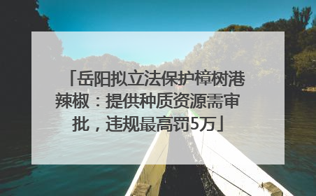 岳阳拟立法保护樟树港辣椒：提供种质资源需审批，违规最高罚5万