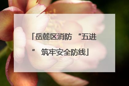岳麓区消防 “五进” 筑牢安全防线