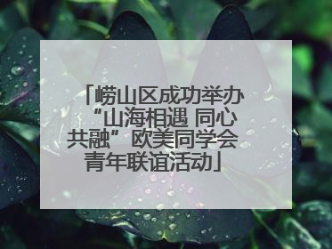 崂山区成功举办“山海相遇 同心共融”欧美同学会青年联谊活动
