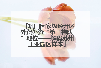 巩固国家级经开区外贸外资“第一梯队”地位——解码苏州工业园区样本