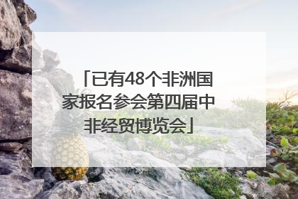 已有48个非洲国家报名参会第四届中非经贸博览会