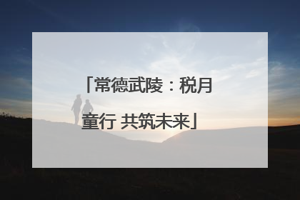 常德武陵：税月童行 共筑未来