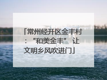 常州经开区金丰村：“和美金丰” 让文明乡风吹进门