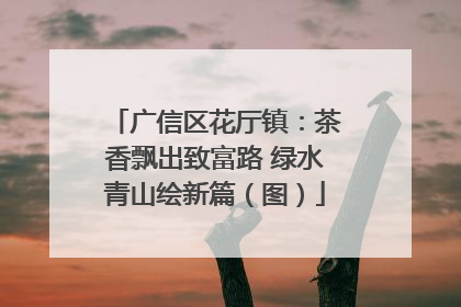 广信区花厅镇：茶香飘出致富路 绿水青山绘新篇（图）