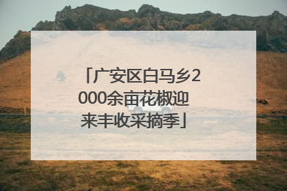 广安区白马乡2000余亩花椒迎来丰收采摘季