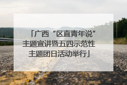 广西“区直青年说”主题宣讲暨五四示范性主题团日活动举行