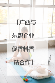 广西与东盟企业促香料香精合作