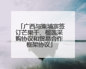 广西与柬埔寨签订芒果干、榴莲采购协议和贸易合作框架协议