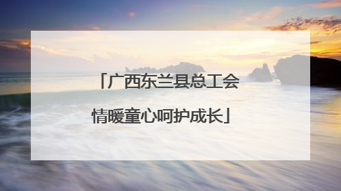 广西东兰县总工会情暖童心呵护成长