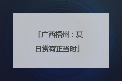 广西梧州：夏日赏荷正当时