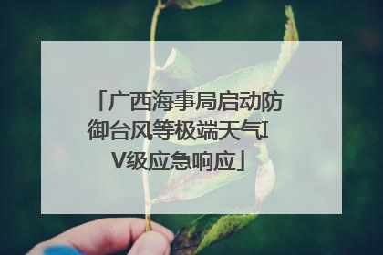 广西海事局启动防御台风等极端天气IV级应急响应