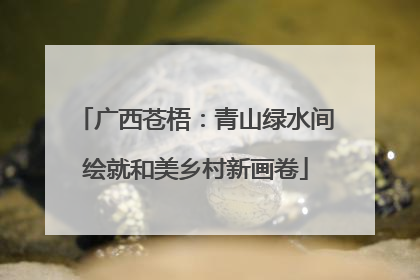 广西苍梧：青山绿水间绘就和美乡村新画卷