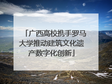 广西高校携手罗马大学推动建筑文化遗产数字化创新
