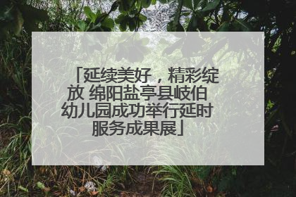 延续美好，精彩绽放 绵阳盐亭县岐伯幼儿园成功举行延时服务成果展