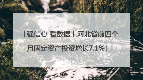强信心 看数据丨河北省前四个月固定资产投资增长7.1%