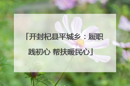 开封杞县平城乡：履职践初心 帮扶暖民心