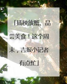 插秧放蟹、品尝美食！这个周末，吉报小记者有点忙
