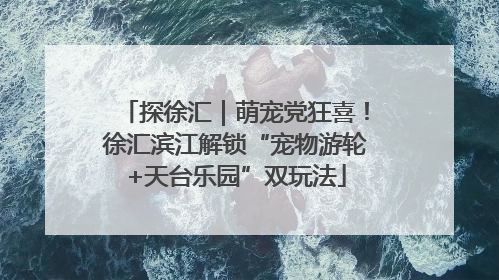 探徐汇｜萌宠党狂喜！徐汇滨江解锁“宠物游轮+天台乐园”双玩法