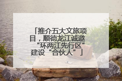推介五大文旅项目，顺德龙江诚邀“环两江先行区”建设“合伙人”