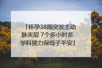 怀孕38周突发主动脉夹层 7个多小时多学科接力保母子平安