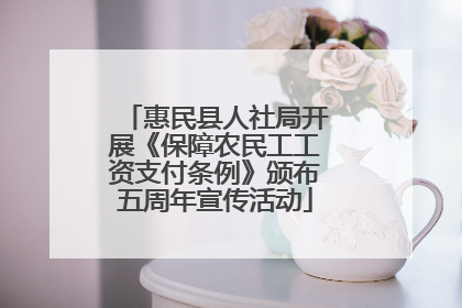 惠民县人社局开展《保障农民工工资支付条例》颁布五周年宣传活动