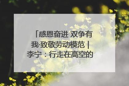 感恩奋进 双争有我·致敬劳动模范｜李宁：行走在高空的“电网卫士”