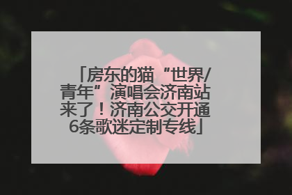 房东的猫“世界/青年”演唱会济南站来了！济南公交开通6条歌迷定制专线