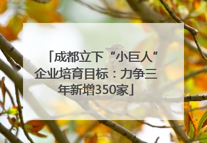成都立下“小巨人”企业培育目标：力争三年新增350家
