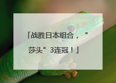 战胜日本组合，“莎头”3连冠！
