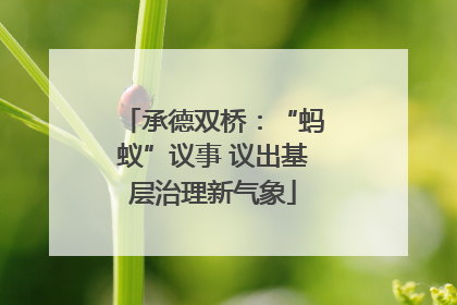 承德双桥：“蚂蚁”议事 议出基层治理新气象