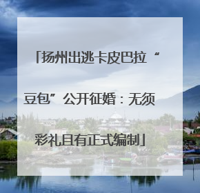 扬州出逃卡皮巴拉“豆包”公开征婚：无须彩礼且有正式编制