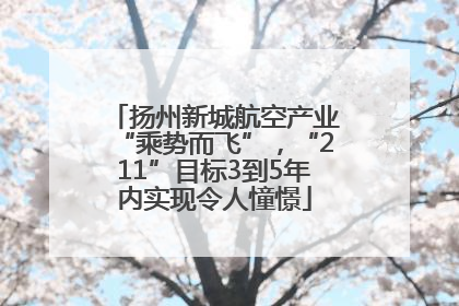 扬州新城航空产业“乘势而飞”，“211”目标3到5年内实现令人憧憬