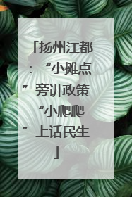 扬州江都：“小摊点”旁讲政策 “小爬爬”上话民生