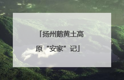 扬州鹅黄土高原“安家”记
