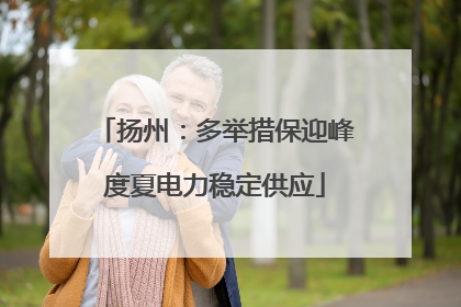 扬州：多举措保迎峰度夏电力稳定供应