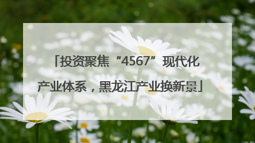 投资聚焦“4567”现代化产业体系，黑龙江产业换新景