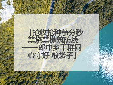 抢收抢种争分秒 禁烧禁抛筑防线——郎中乡干群同心守好 粮袋子