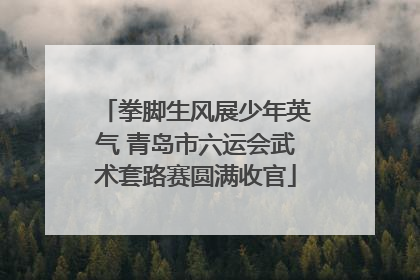 拳脚生风展少年英气 青岛市六运会武术套路赛圆满收官