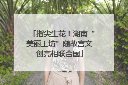 指尖生花！湖南“美丽工坊”随故宫文创亮相联合国